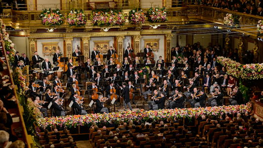 Новогодний концерт 2017 Венского филармонического оркестра