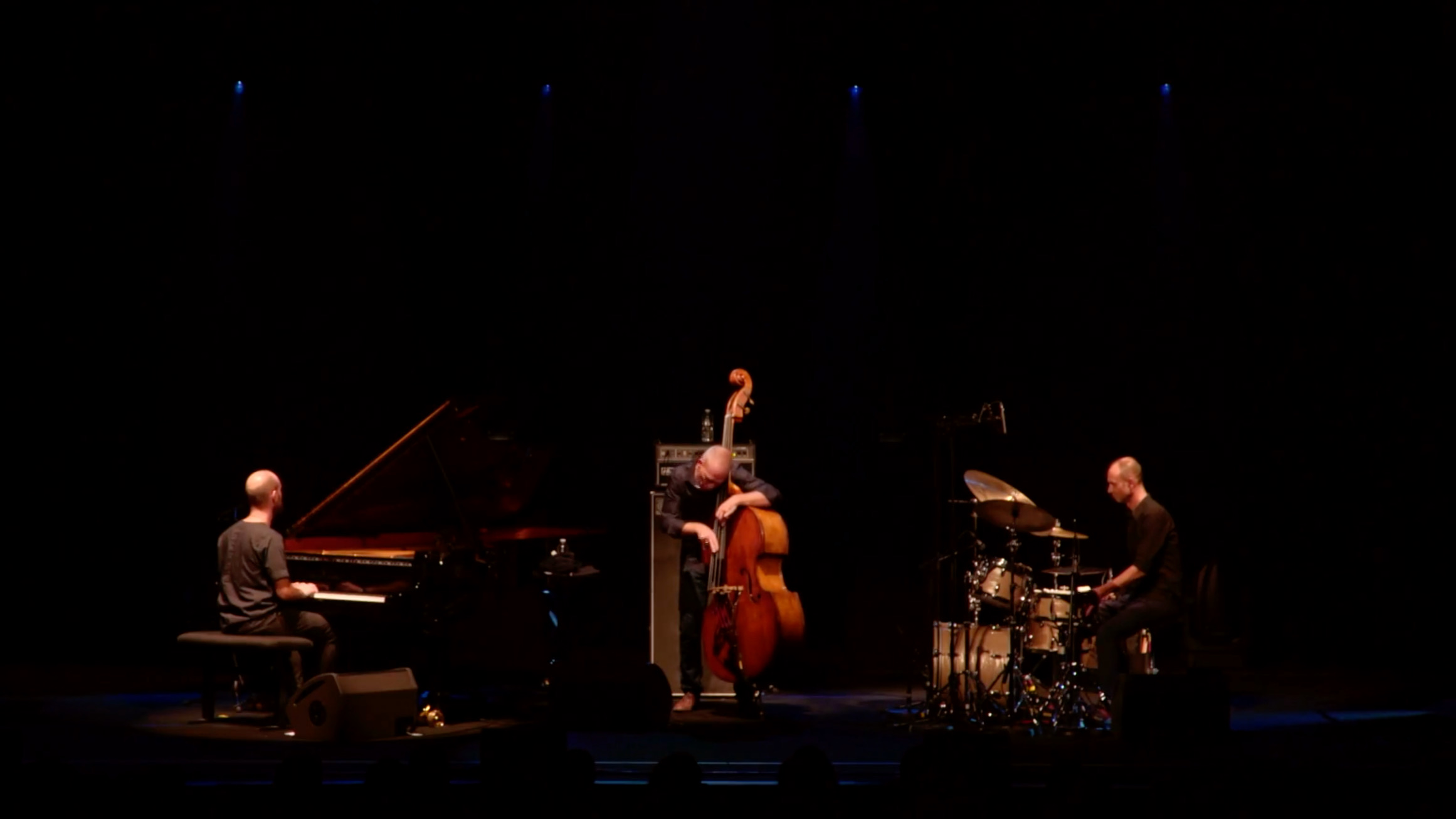 Avishai Cohen Trio Gently Disturbed 10th Anniversary Live in La 